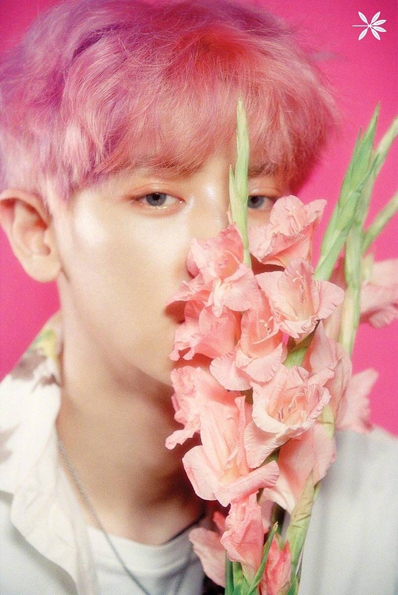 exo回归 kokobop 朴灿烈~chanyeol