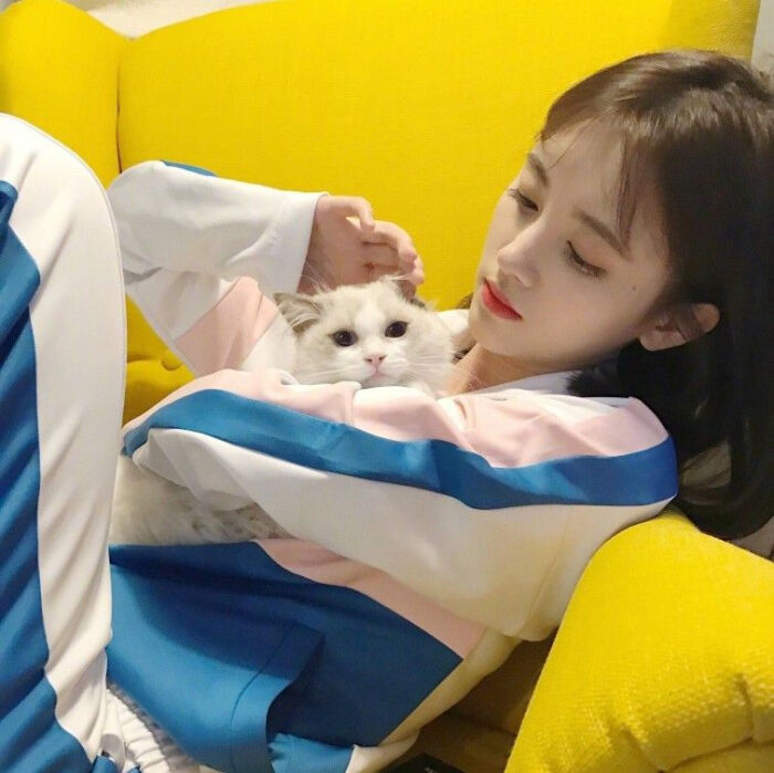 抱猫女头