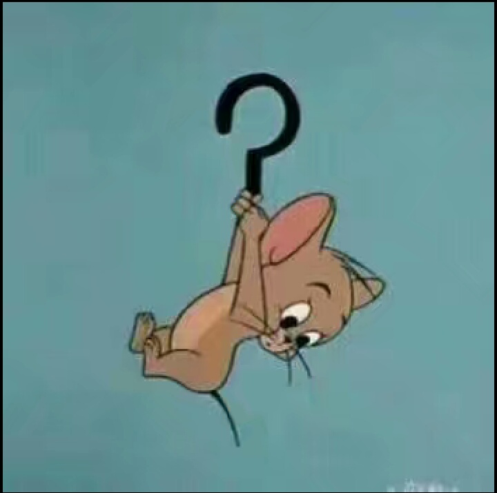 猫和老鼠