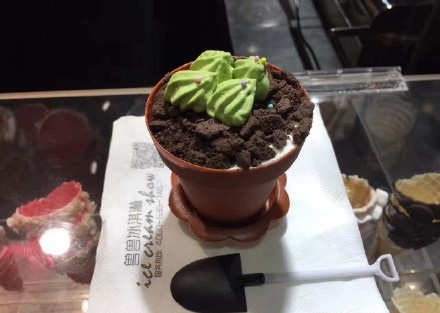 盆栽冰淇淋