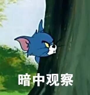 暗中观察
