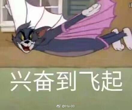 兴奋到飞起