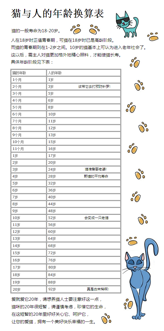 猫与人年龄换算