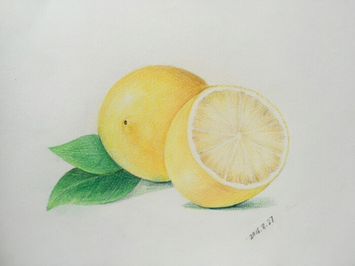 【彩铅～油性】手绘水果～柠檬