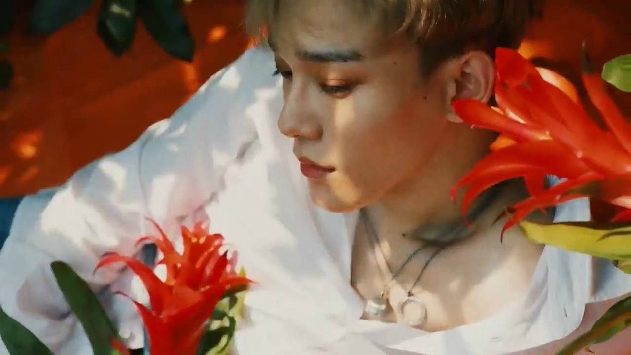 exo回归 kokobop 金钟大~chen