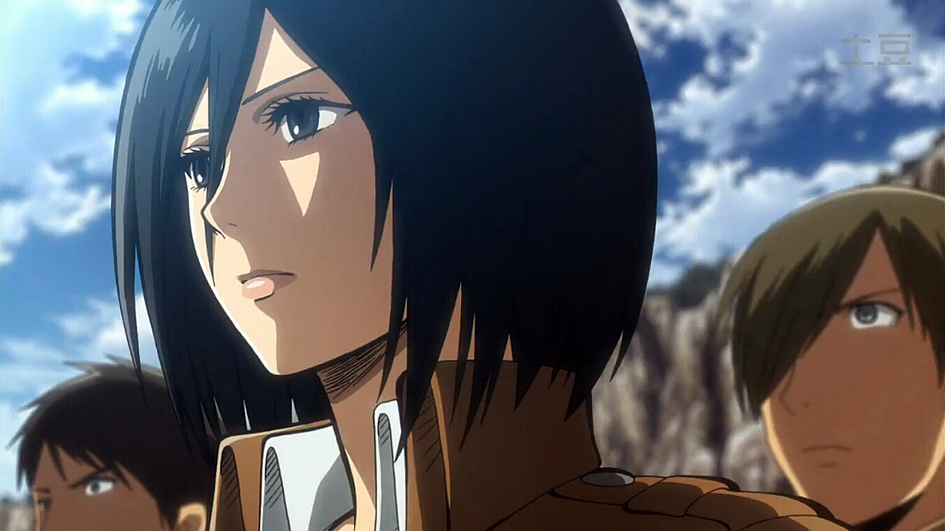 mikasa 