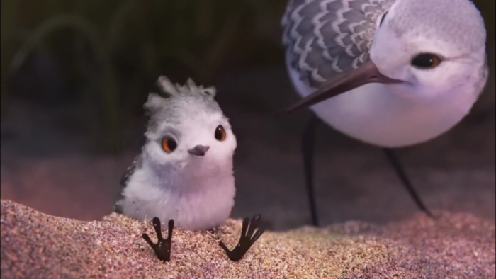 2016皮克斯动画短片《鹬》,怕水的鸟儿是如…