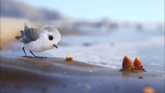 2016皮克斯动画短片《鹬》,怕水的鸟儿是如…