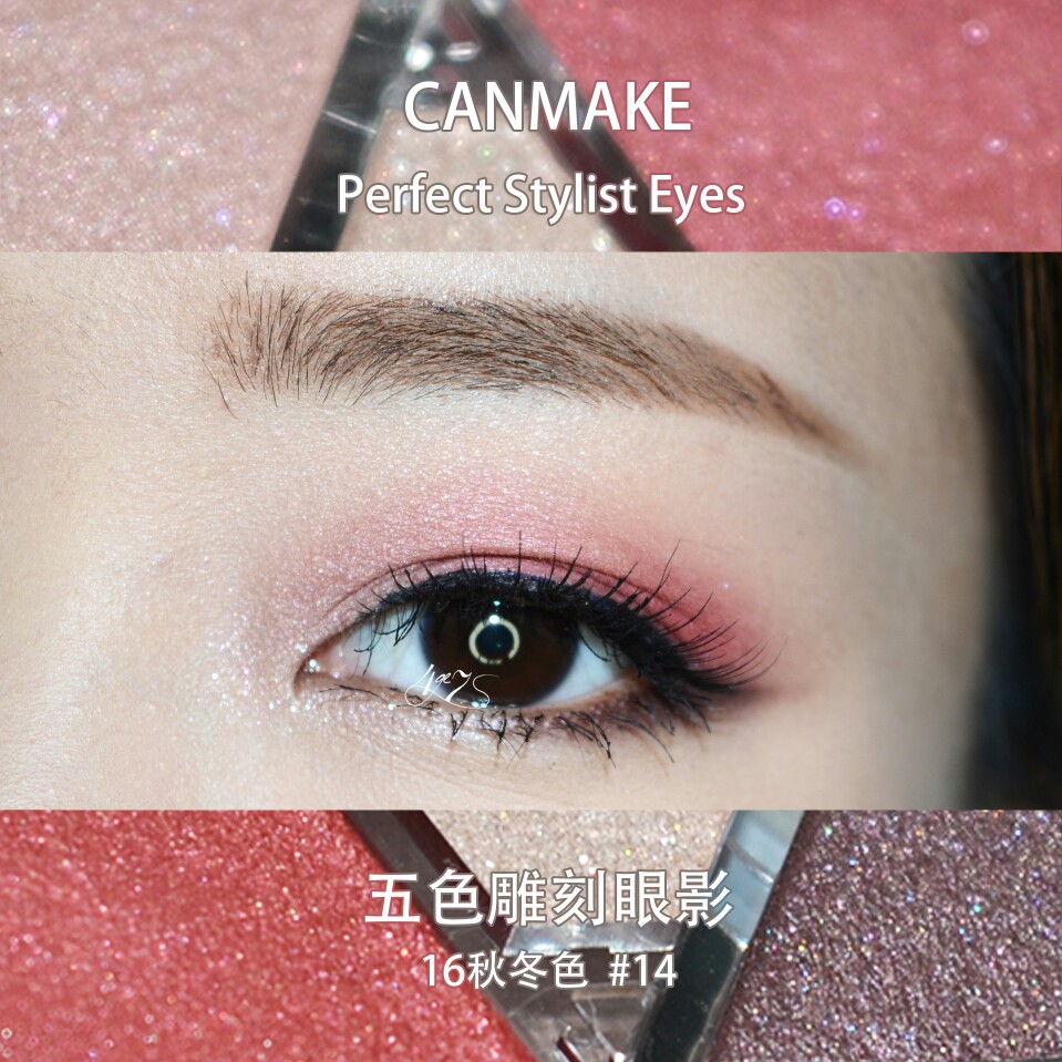 canmake 五色雕刻眼影#14 16年秋冬色