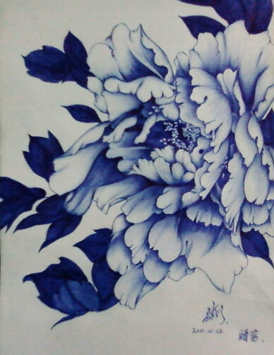 圆珠笔 手绘 花卉 插画