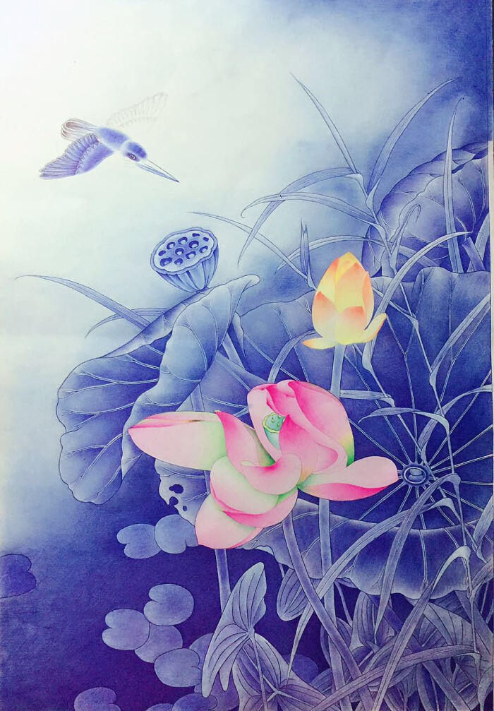 圆珠笔 手绘 花卉 插画