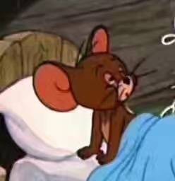 猫和老鼠 表情包 头像