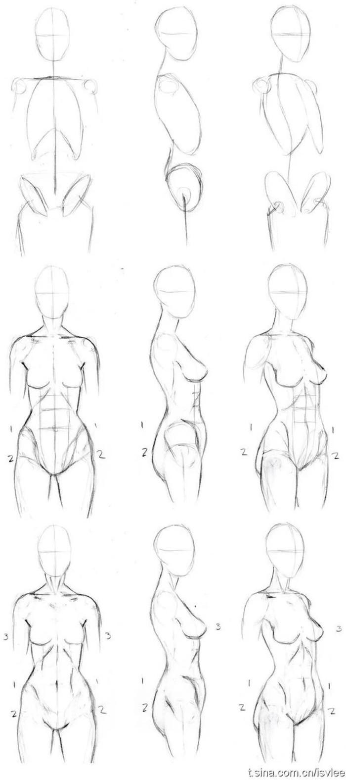 动漫绘画学习:怎么画动漫的人体比例(动
