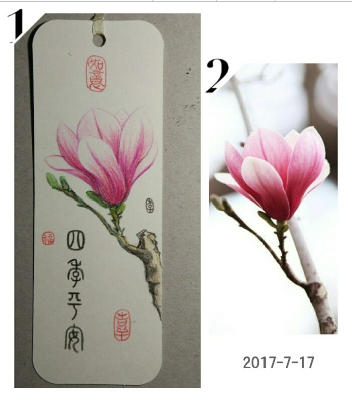 彩铅,玉兰,书签