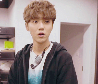 呆萌傻狍子 鹿晗 luhan#壁纸#头像