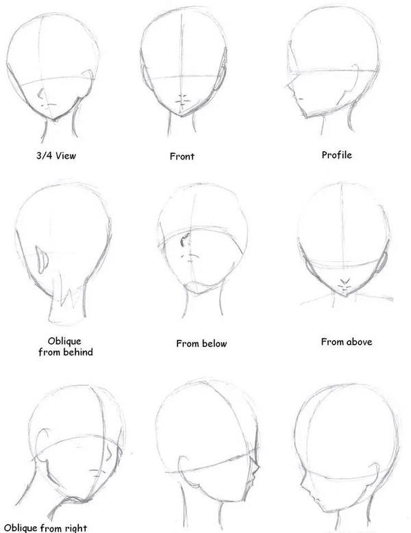 动漫绘画学习:动漫人物脸型画法及脸部结