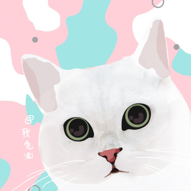 一对cp 情侣 头像 猫咪 yoli 情侣壁纸 银渐层 手绘画 电脑画 英短 软
