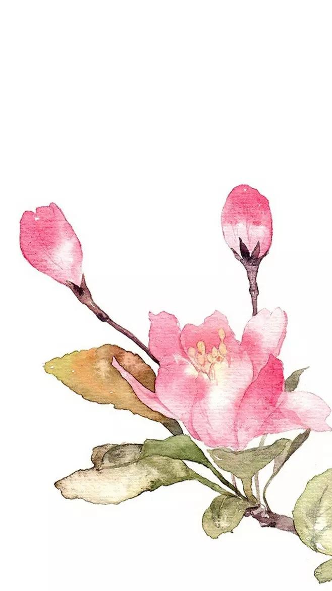 桃李满天下