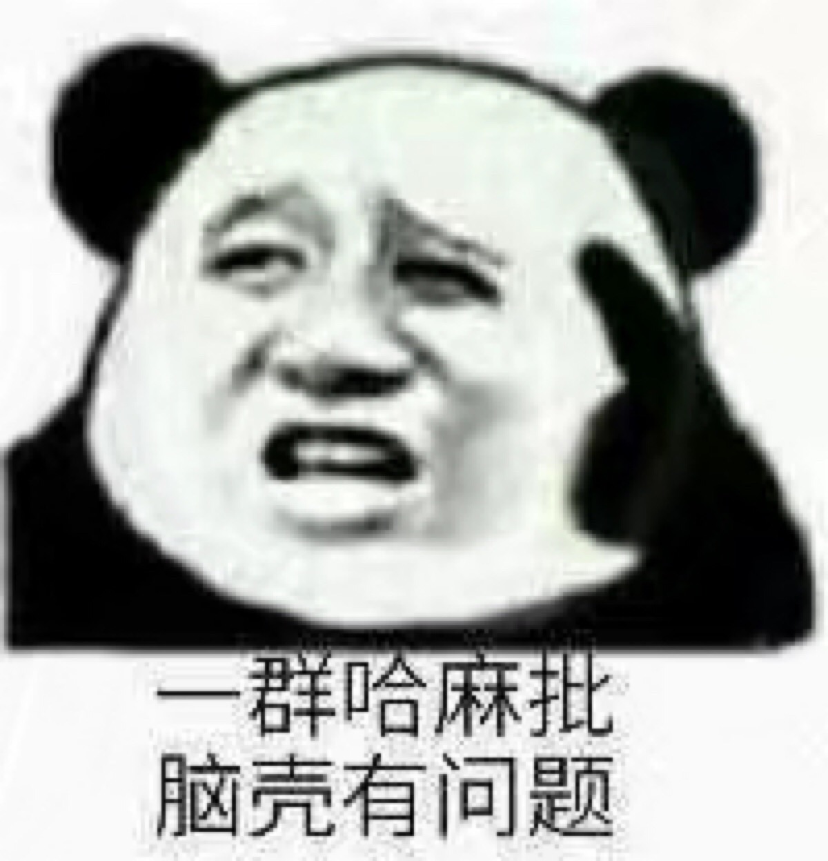表情包 熊猫头
