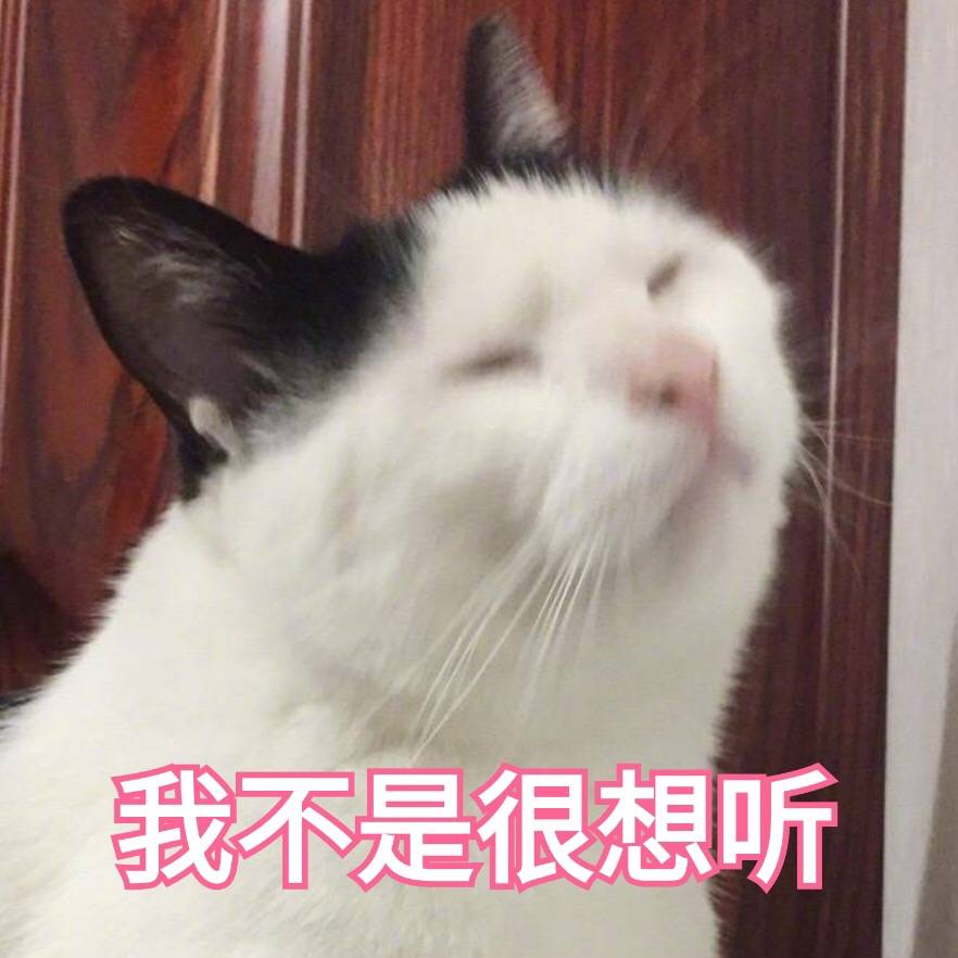 来源 微博 猫咪表情包