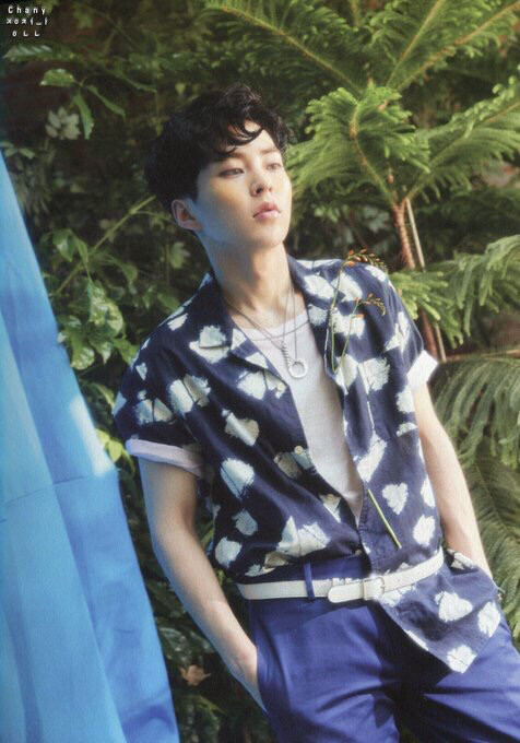 exo kokobop 金珉锡xiumin