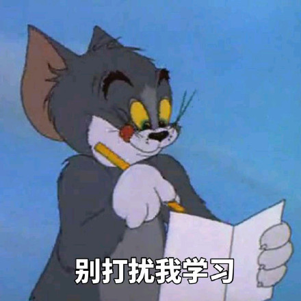 别打扰我学习