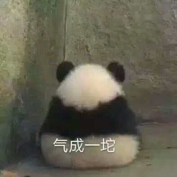 熊猫宝宝萌萌哒表情包