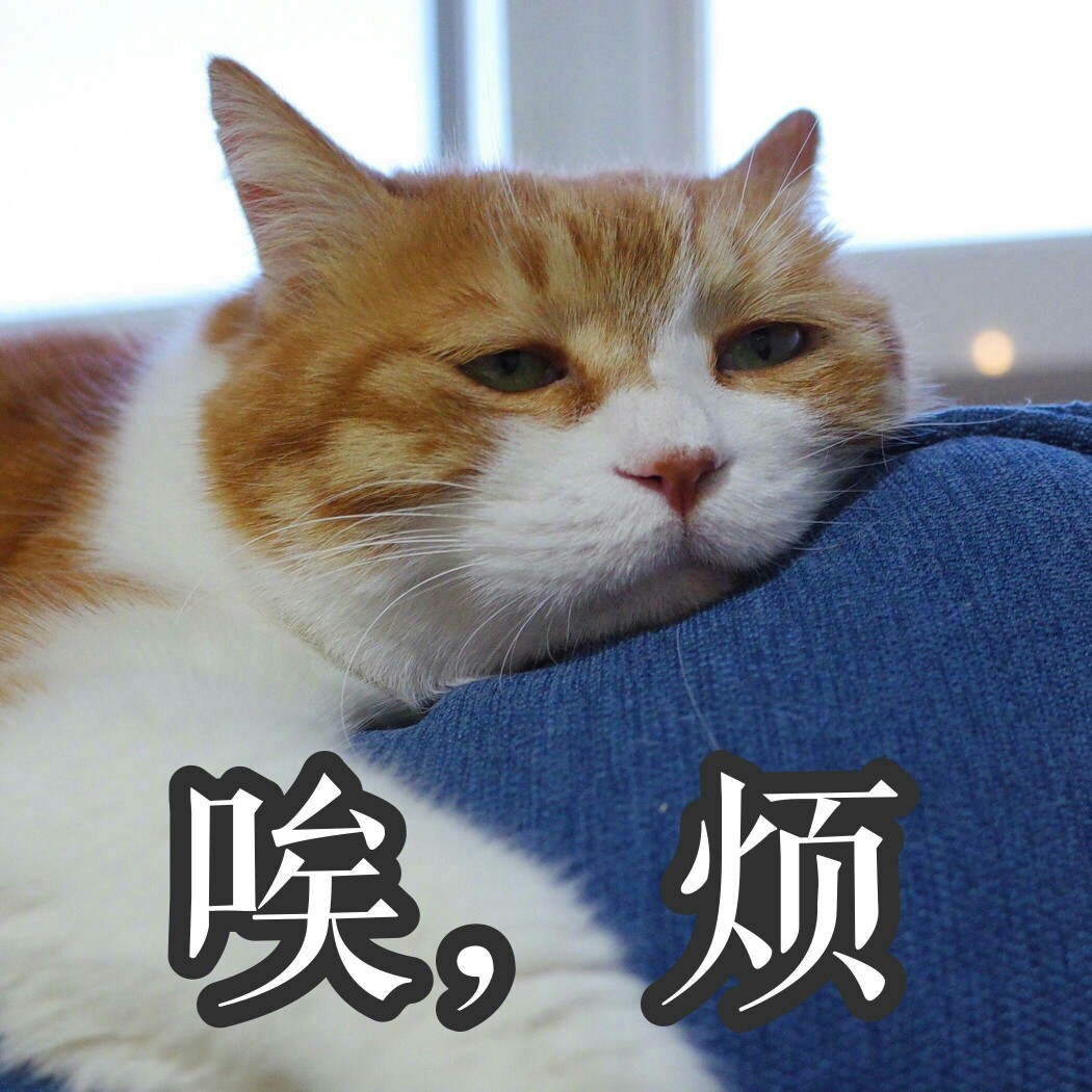 萌宠,猫咪表情包