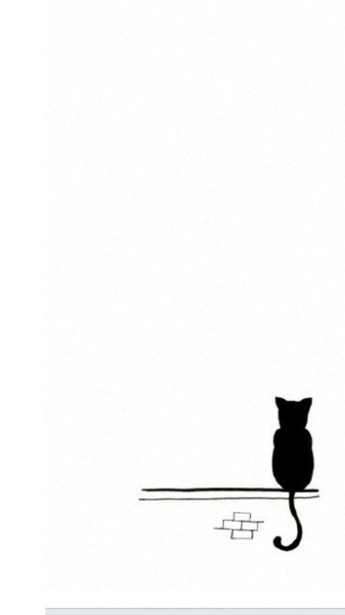 壁纸.动漫.简约.黑白.小猫