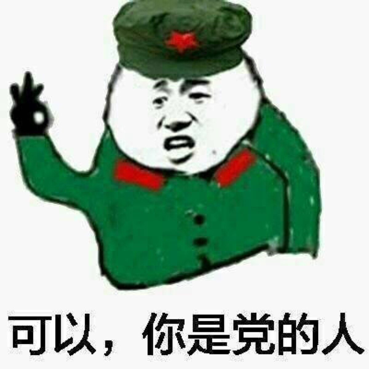 你是党的人 表情包