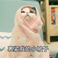 情头 表情包