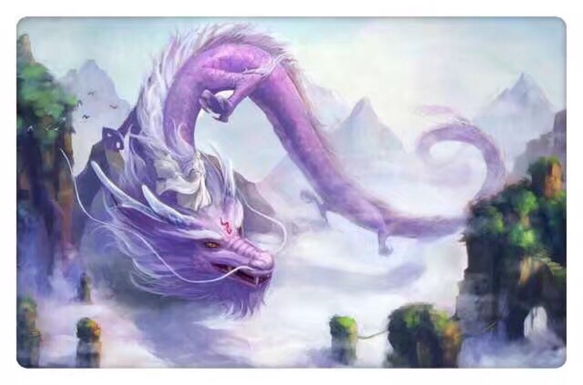 紫龙