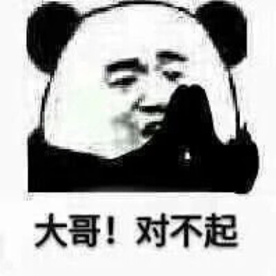 大哥 对不起