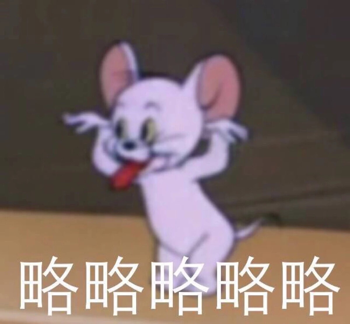 猫和老鼠 略略略