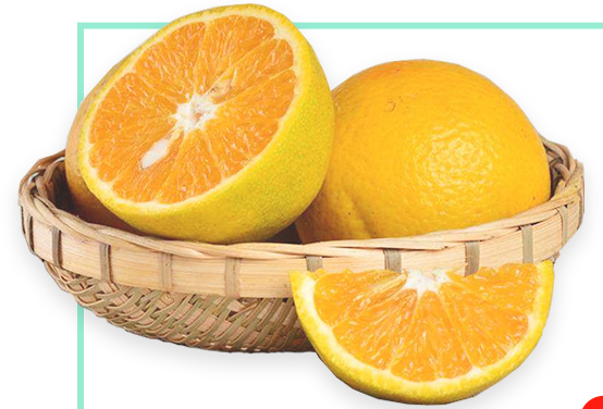 夏橙 新鲜水果(南泥湾农产品电子商务平台h…