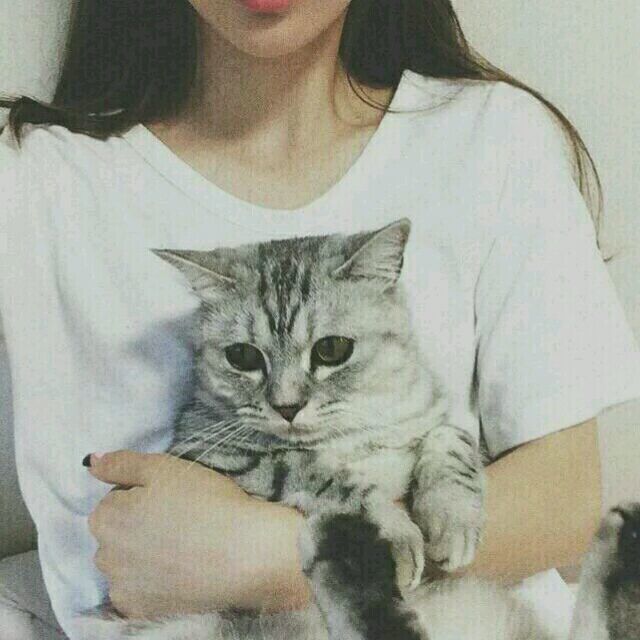 女头 猫控