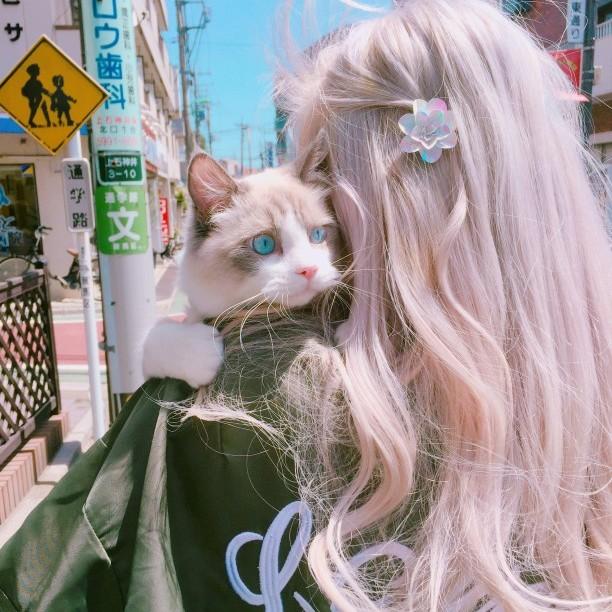 女头 猫控