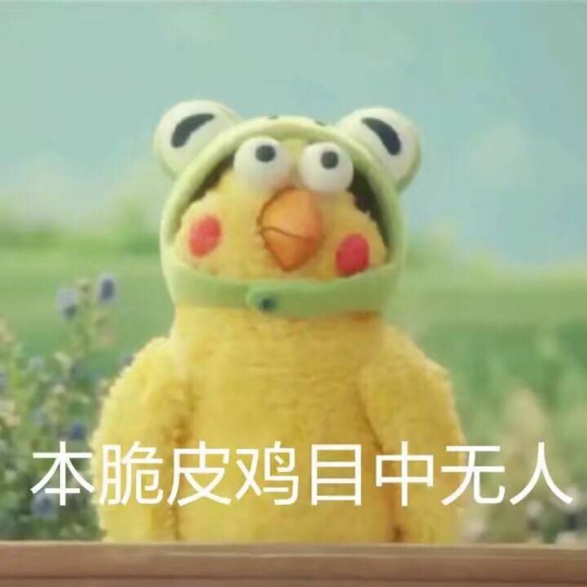 鹦鹉脆皮炸鸡表情包