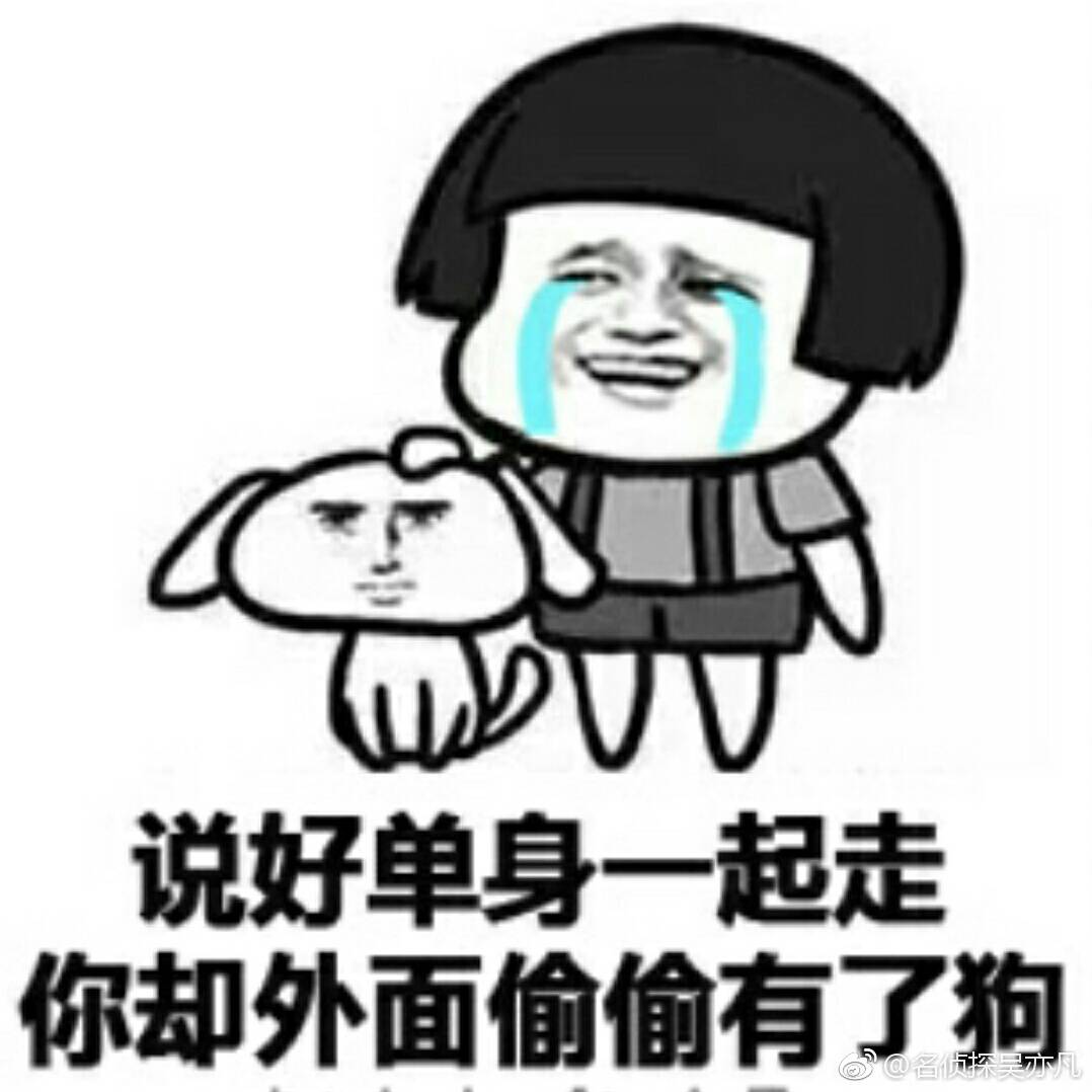 说好单身一起走,你却外面偷偷有了狗
