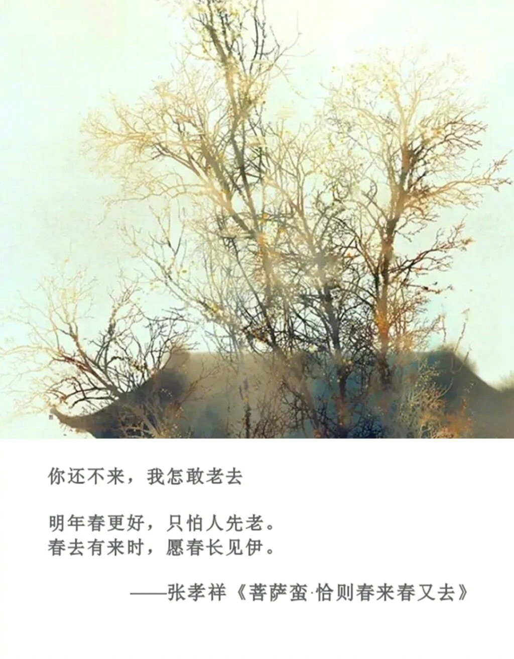 喜欢是乍见之欢,爱是久处不厌:当这些极美的句子遇上古诗文,谁又更让