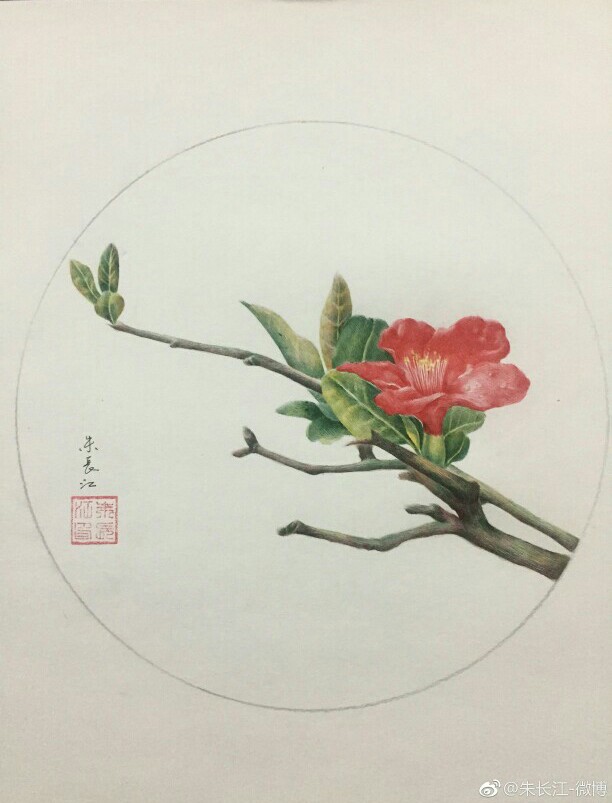 海棠花――圆珠笔手绘