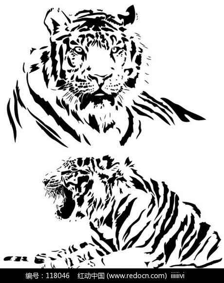 两款老虎黑白矢量图片