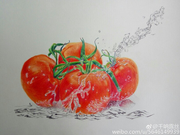 彩铅 创意番茄