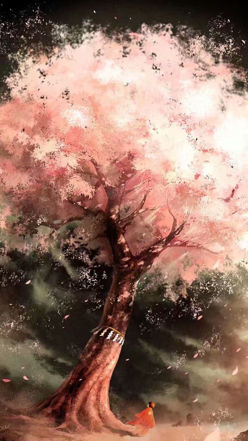 樱花,动漫场景图片