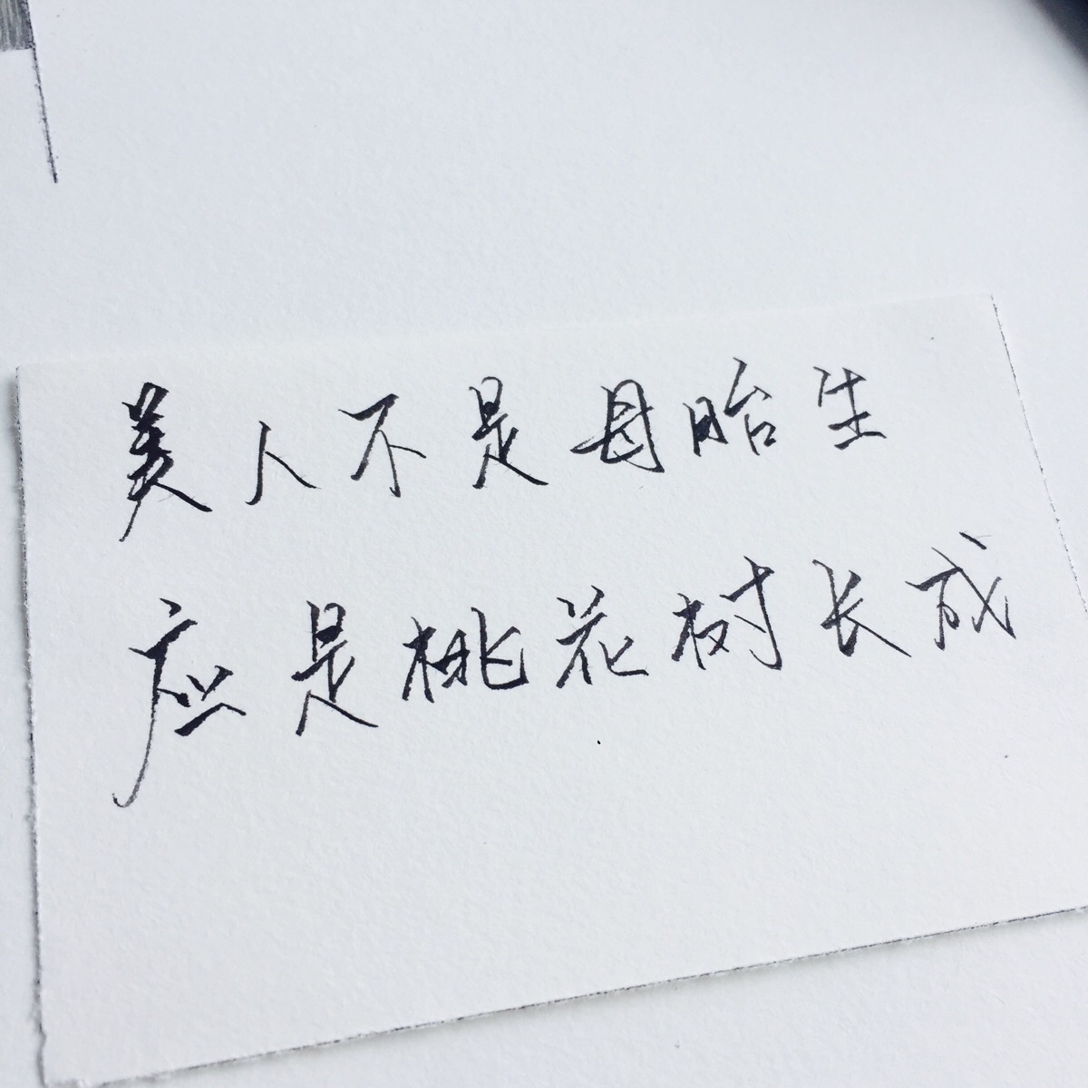 壁纸 白底 小清新 头像 文字 英文 手写 治愈 美文 伤感 名言 七夕
