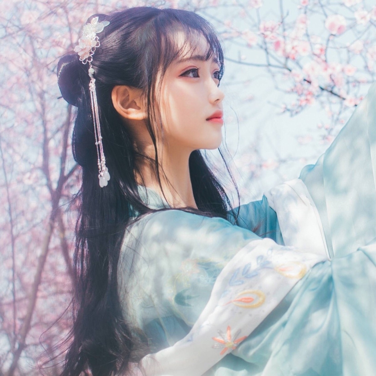 古风 汉服 仙女