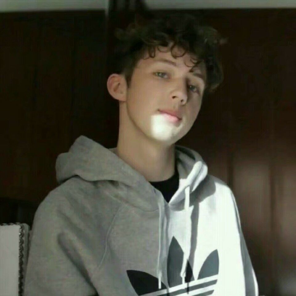 戳爷 壁纸 头像 欧美 帅气 troye sivan 美如画