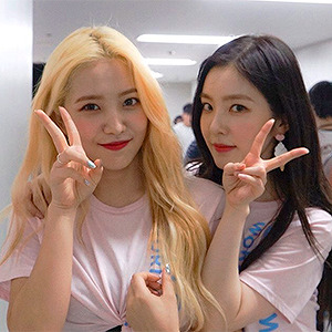 裴珠泫##irene##金艺琳##yeri##red velvet##头像##icons