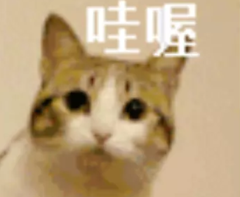 樱桃小丸子の表情包 搞笑表情包 搞怪表情包 熊猫表情包 可爱表情包