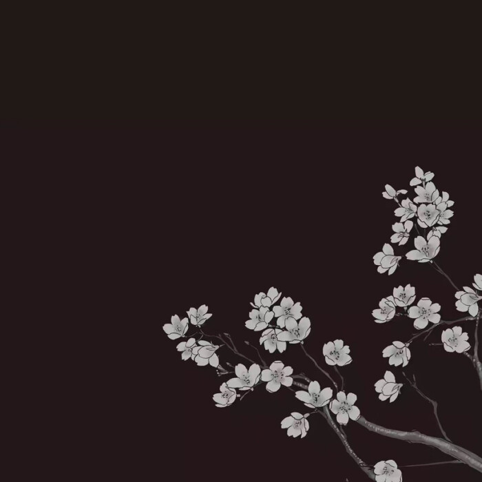 动漫 花 名片背景 微信朋友圈背景 古风 简约 黑白